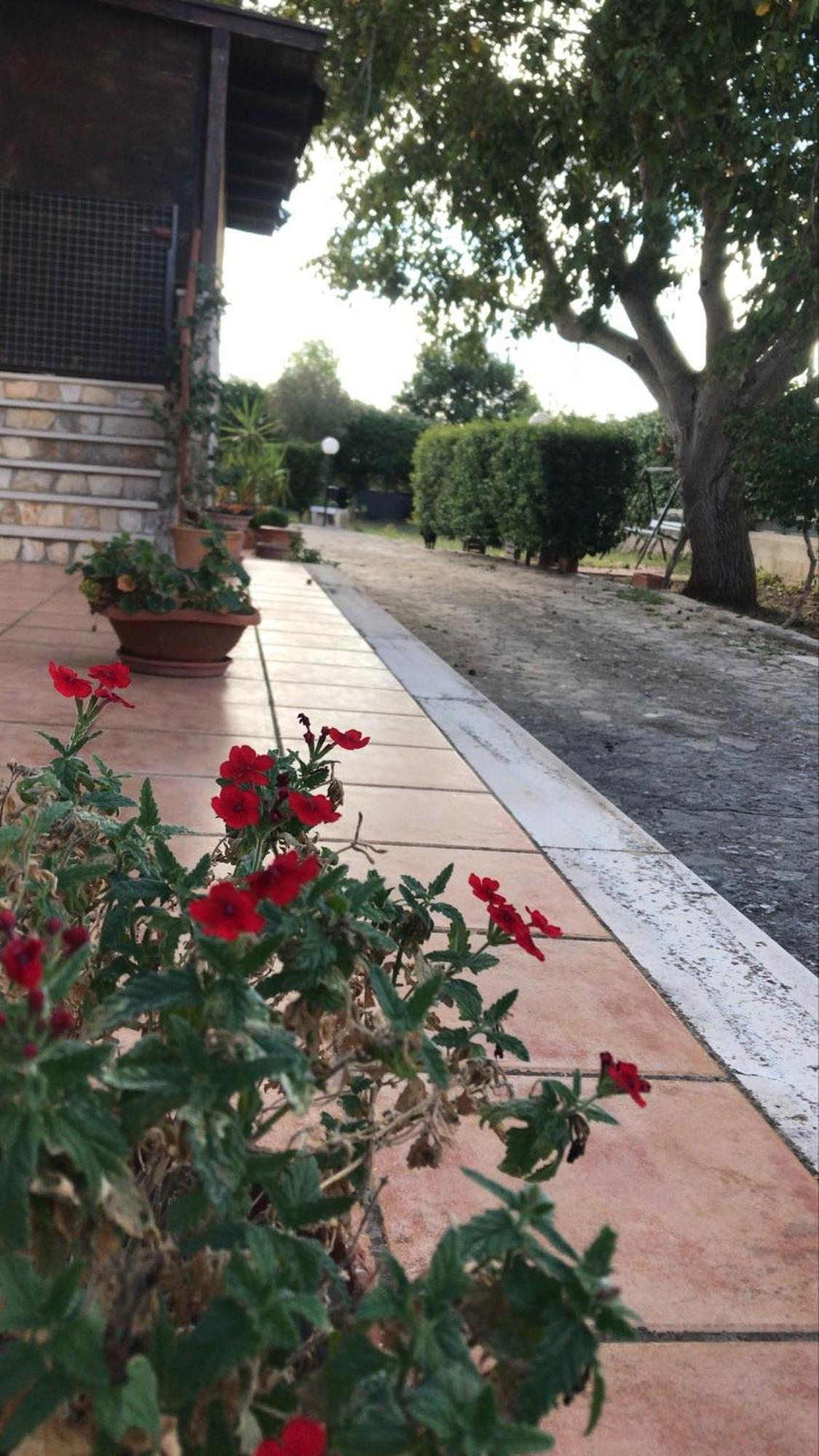 Villa Marida Gioia Del Colle Ngoại thất bức ảnh