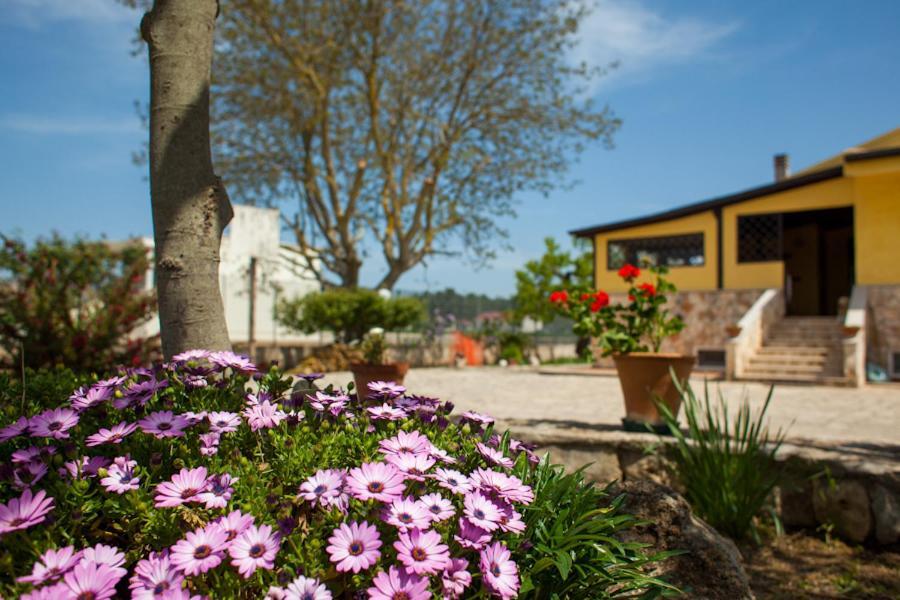 Villa Marida Gioia Del Colle Ngoại thất bức ảnh